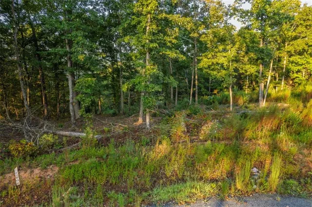 a view of a lake in between two large trees
