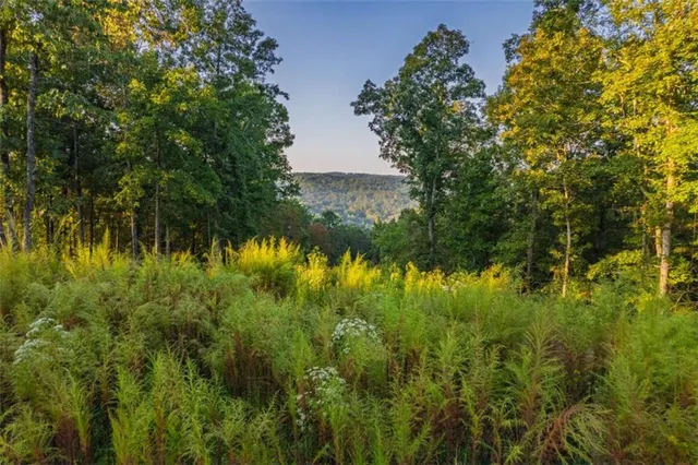 a view of a lake with top of house