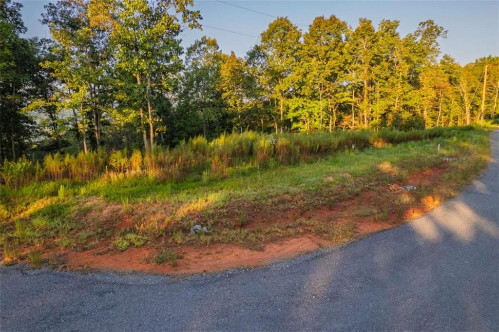 290 Anglers Ridge Road Talking Rock, GA 30175 - Photo 9 of 29 a view of a lake with a yard