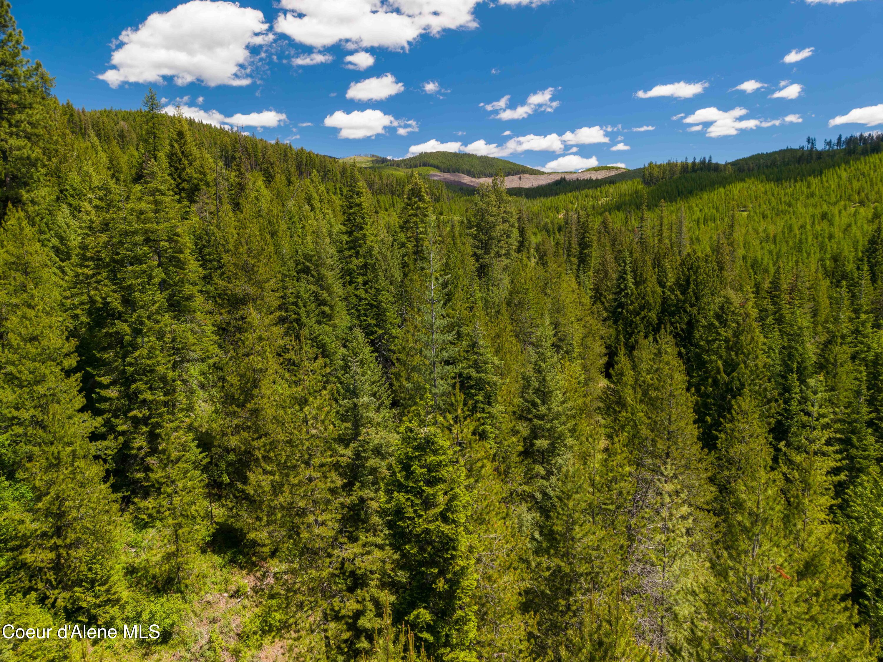 1314 Finn Creek Road Fernwood, ID 83830 - Photo 19 of 23 June 11 2026 (14 of 20)