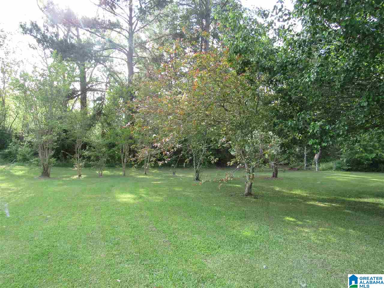 206 Hoyt Brownie Road Clanton, AL 35045 - Photo 7 of 26