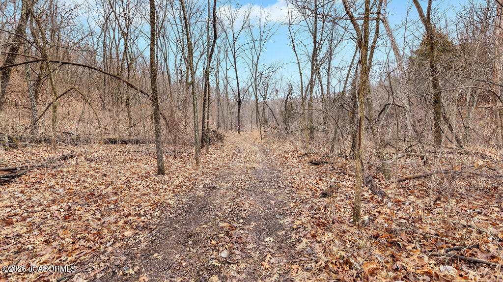 5754 Dry Branch Road St. Clair, MO 63077 - Photo 11 of 20