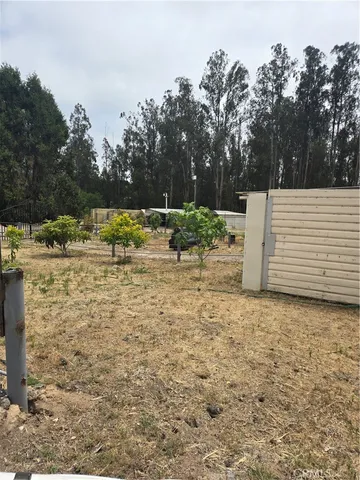 a view of a yard with trees