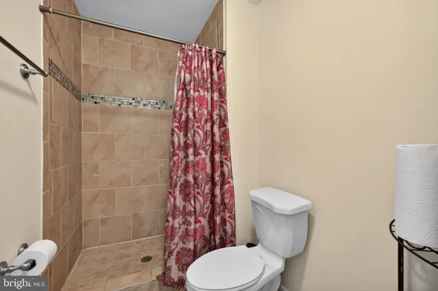 a white toilet sitting next to a shower curtain