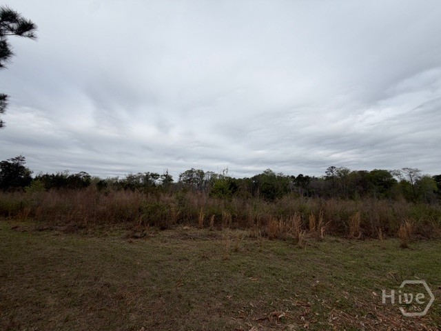 1 Race Path Road Rincon, GA 31326 - Photo 10 of 10