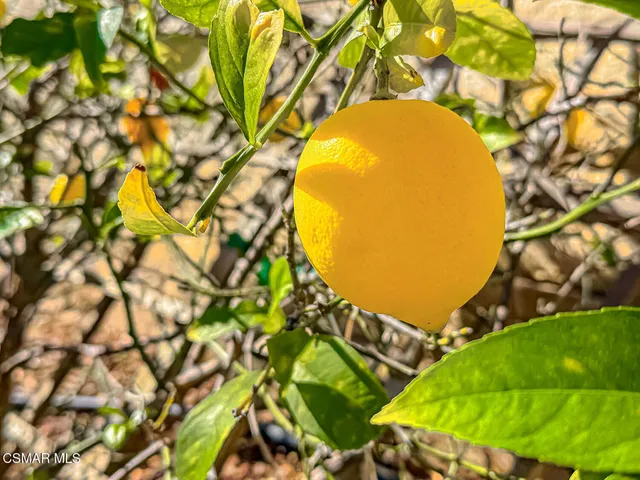 $5,150 | Undisclosed Address, Newbury Park, CA 91320