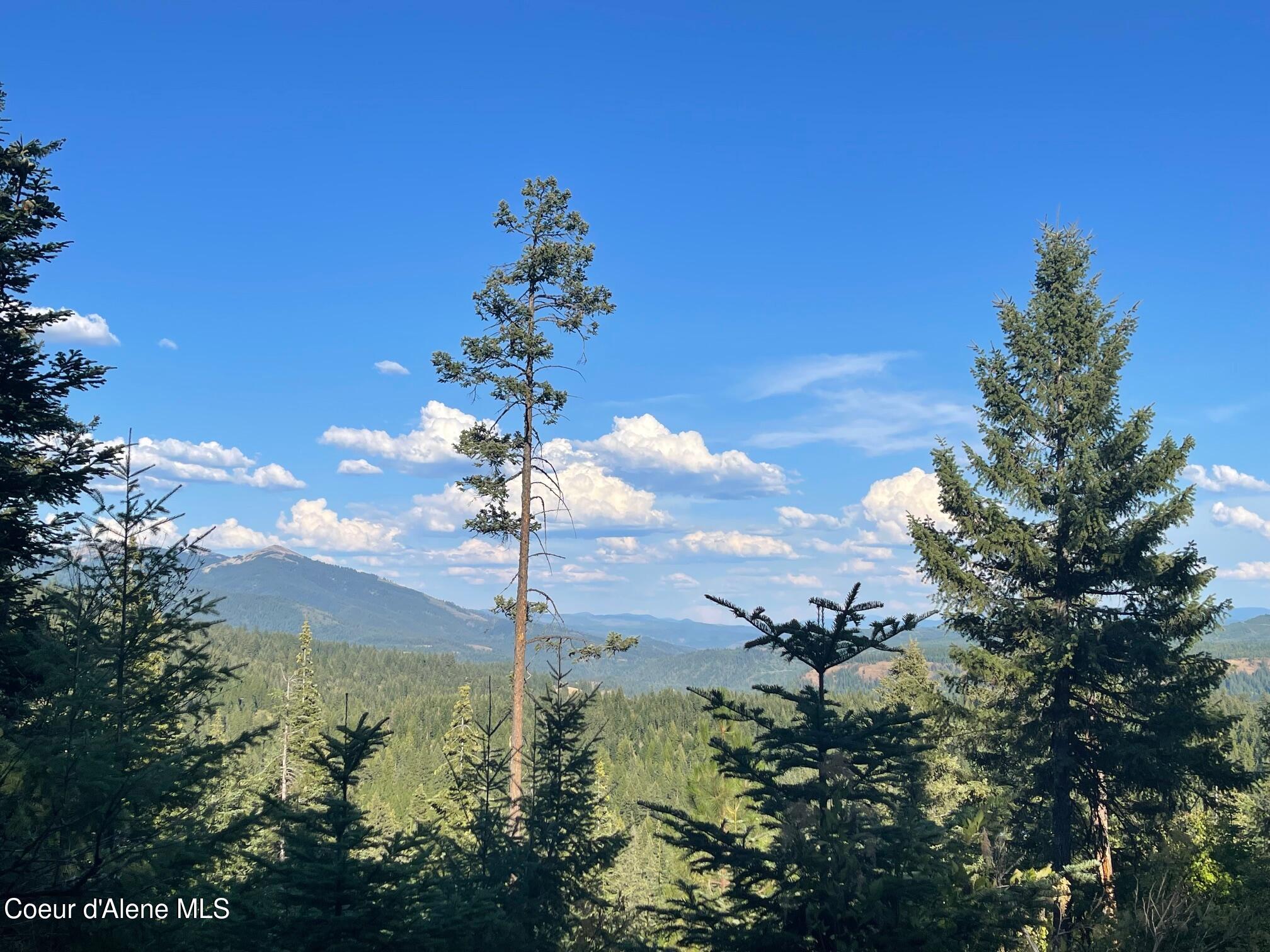 Nka Ridgeview Drive St. Maries, ID 83861 - Photo 4 of 12 Mountain views-40 acres