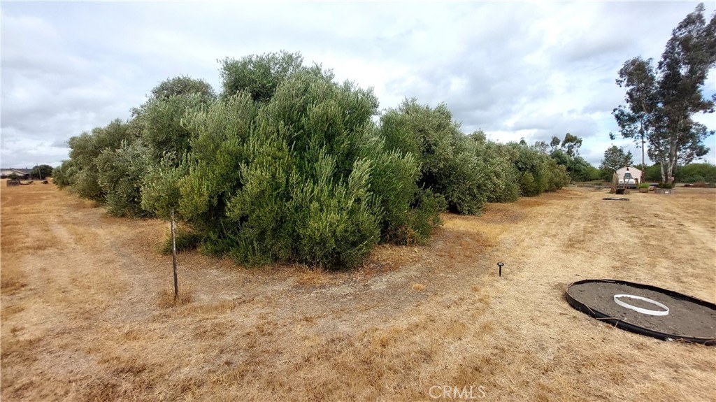 1547 Blackburn Avenue Corning, CA 96021 - Photo 13 of 51 a view of a backyard with plants