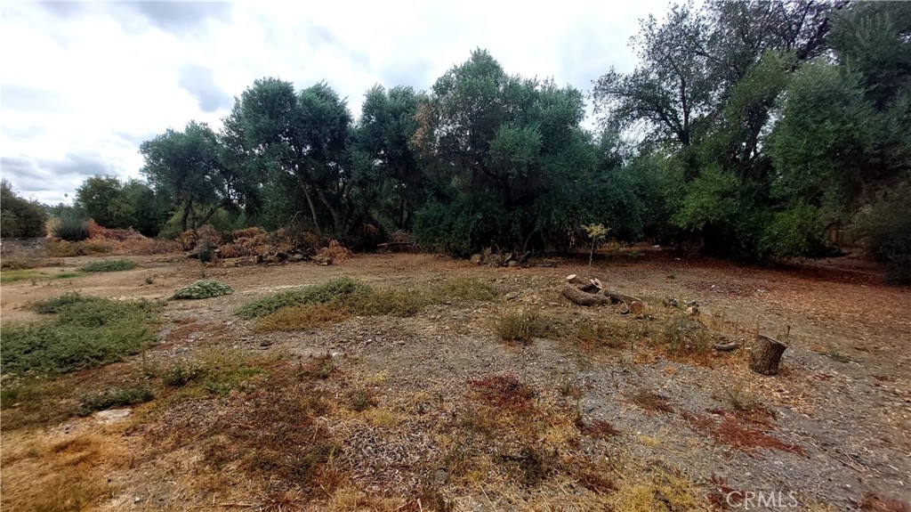 1547 Blackburn Avenue Corning, CA 96021 - Photo 7 of 51 a view of a dirt road with trees in the background