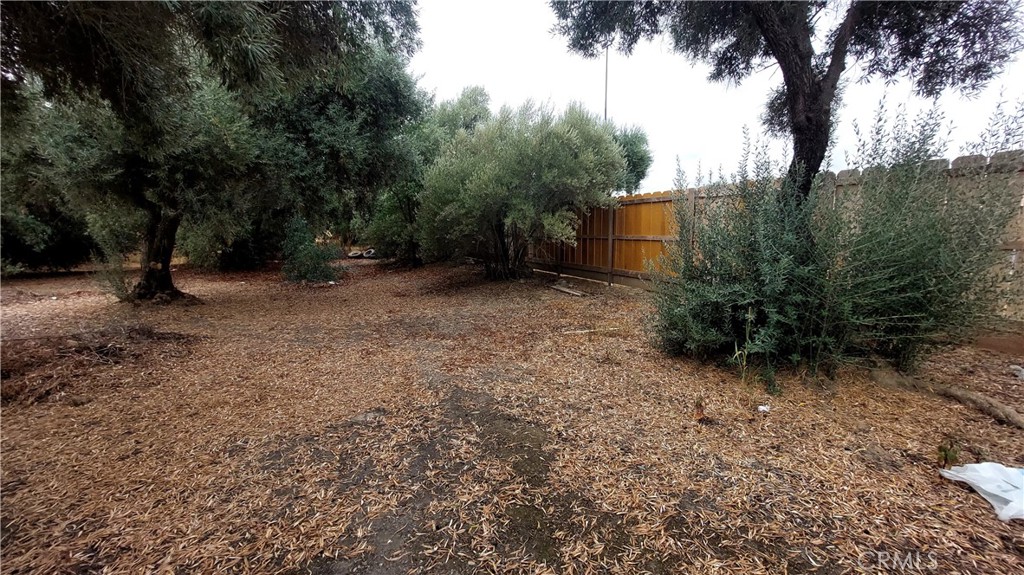1547 Blackburn Avenue Corning, CA 96021 - Photo 8 of 51 a backyard of a house with lots of green space