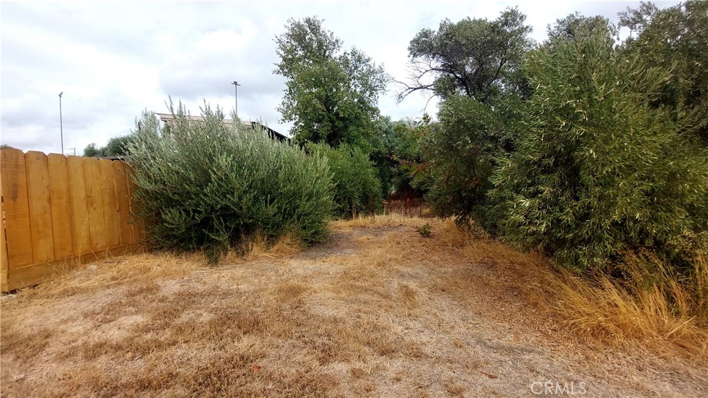 1547 Blackburn Avenue Corning, CA 96021 - Photo 9 of 51 a view of a yard with plants and trees