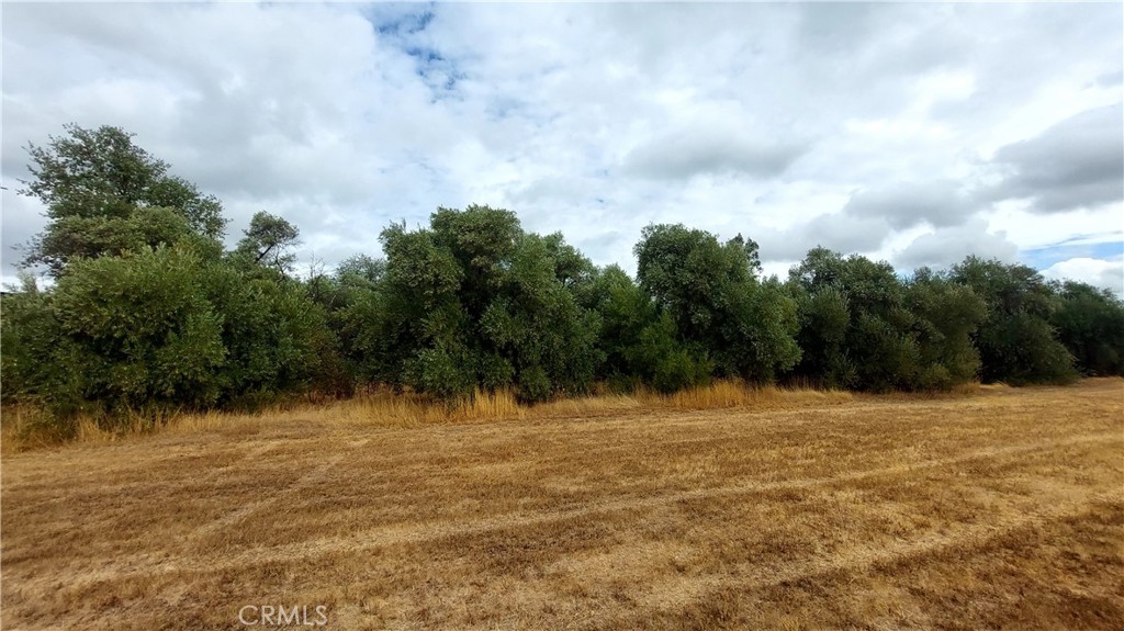 1547 Blackburn Avenue Corning, CA 96021 - Photo 10 of 51 a view of basketball court