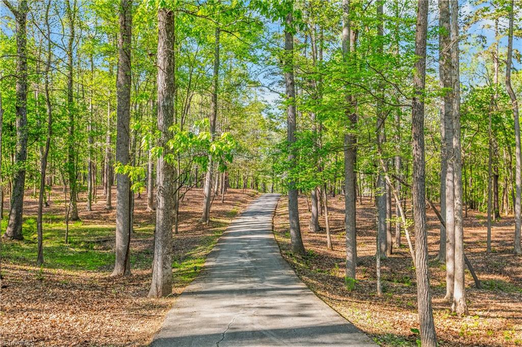 205 Old Mill Road High Point, NC 27265 - Photo 3 of 50