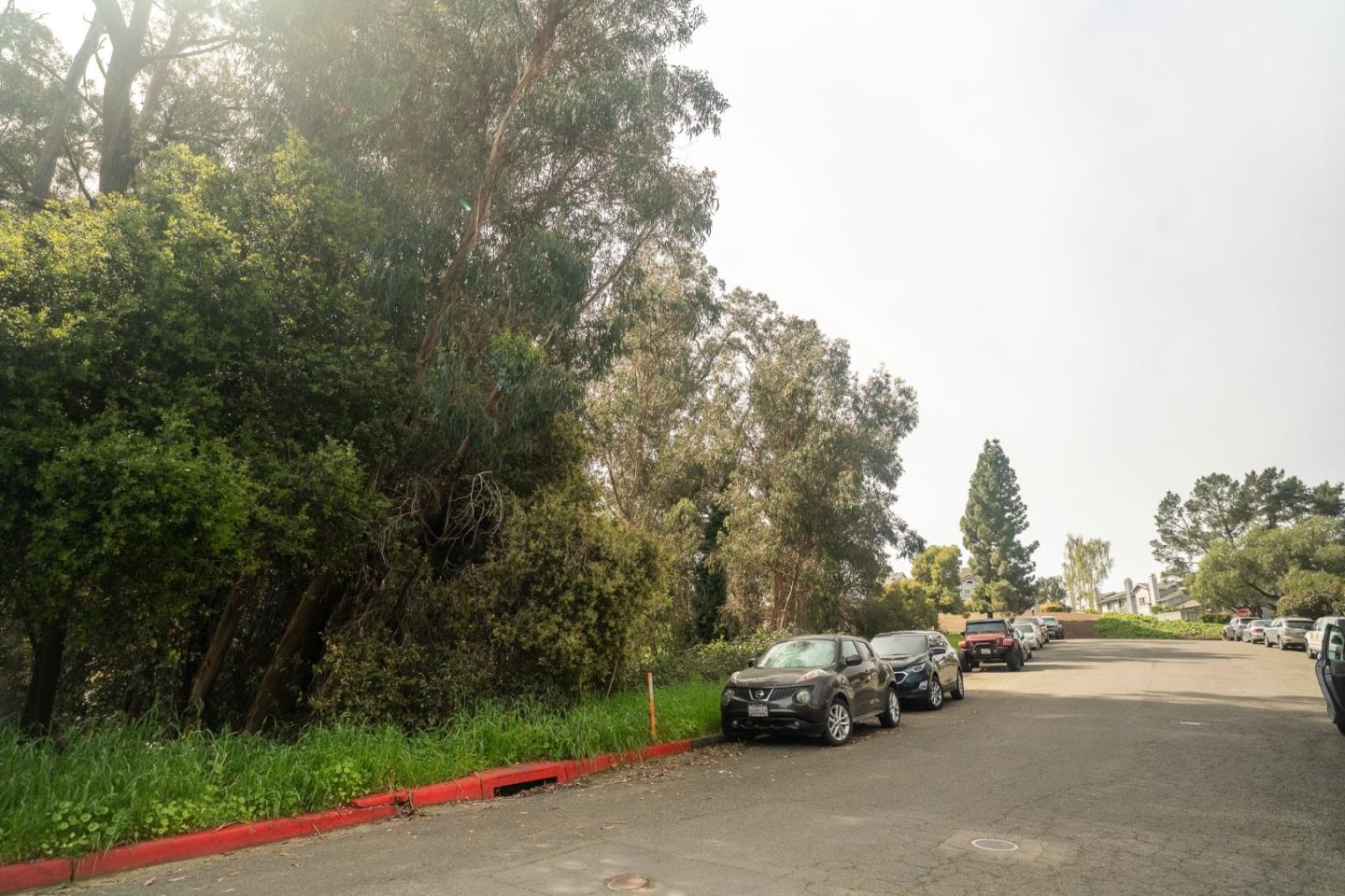 1002 Forest Run Hercules, CA 94547 - Photo 26 of 26