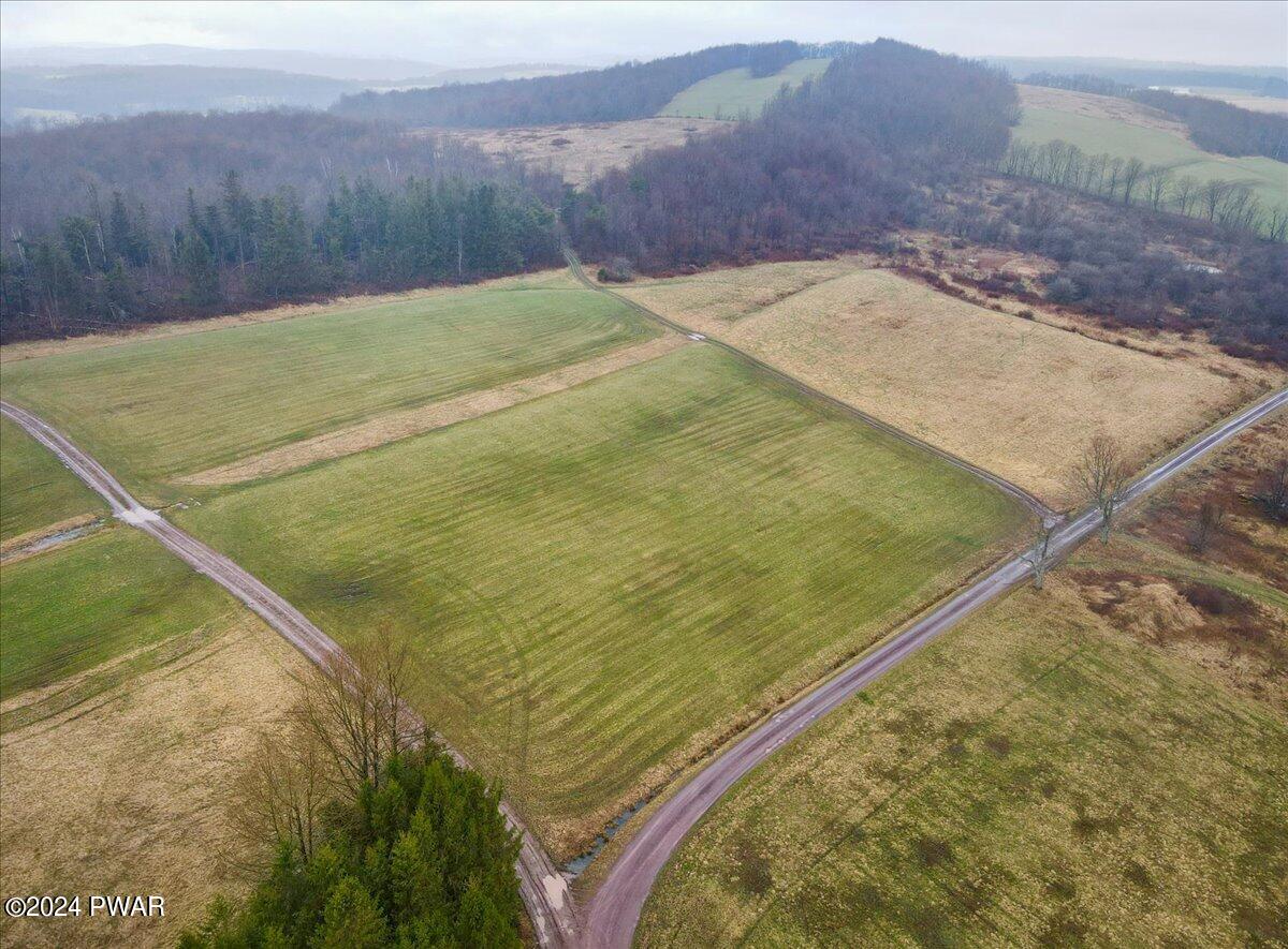 Lepro Martin Road Thompson, PA 18465 - Photo 10 of 12