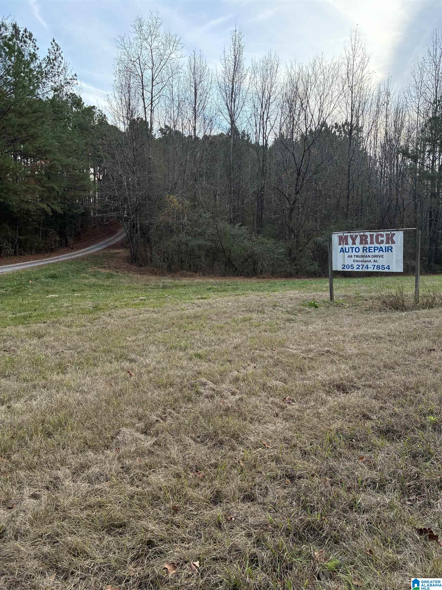 0 Highway 160 Hayden, AL 35079 - Photo 6 of 6