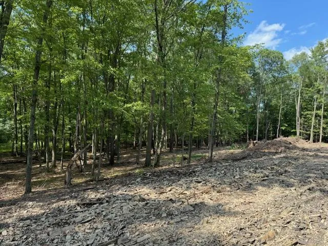 a view of a golf course