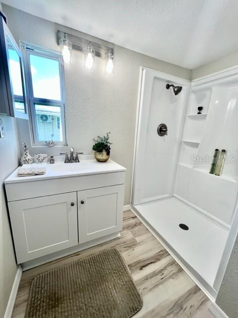 10826 Tioga Drive Port Richey, FL 34668 - Photo 39 of 59 a bathroom with a sink a mirror a glass door a shower and vanity