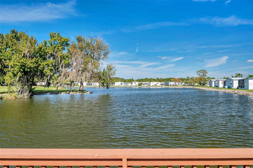 10826 Tioga Drive Port Richey, FL 34668 - Photo 53 of 59