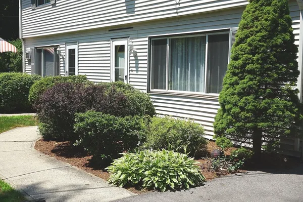 a view of a house with plants