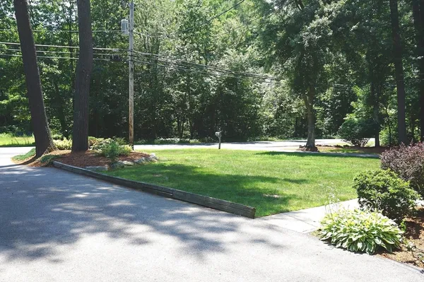 a view of a park with large trees
