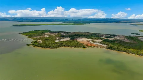 a view of a lake from a yard