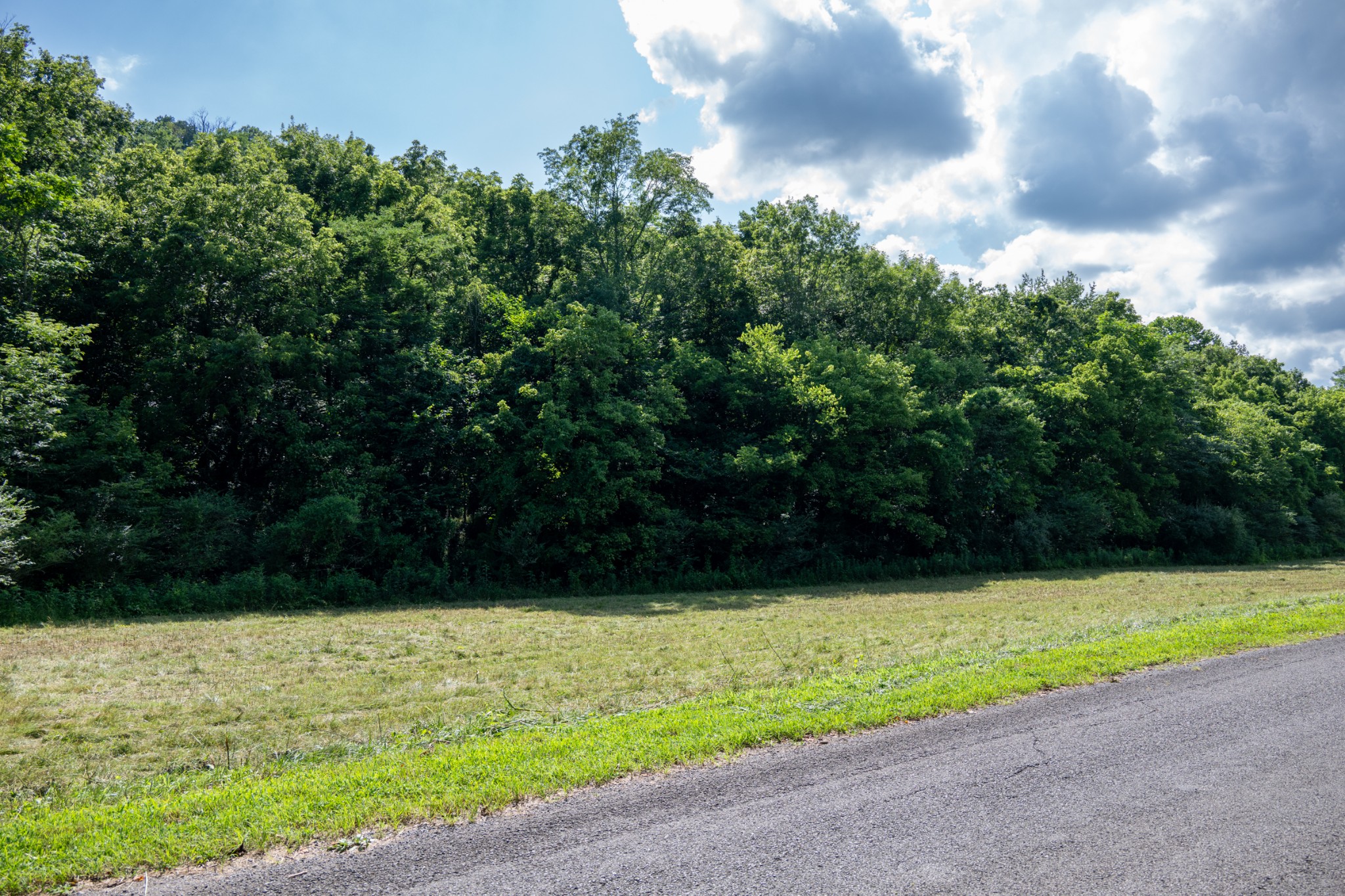 0 Hopkins Hollow Road Gainesboro, TN 38562 - Photo 6 of 9 a view of outdoor space with swimming pool and green space