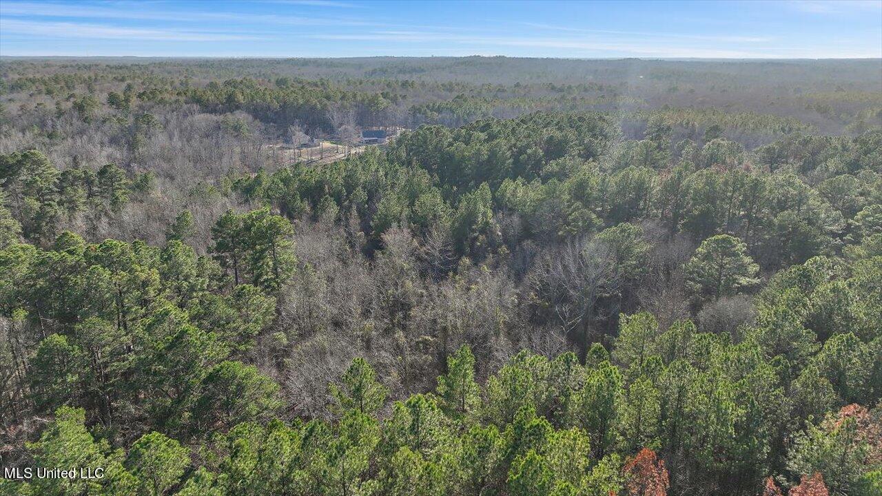 1074 Ridgeside Drive Brandon, MS 39042 - Photo 21 of 30 19-1074 Ridgeside Dr