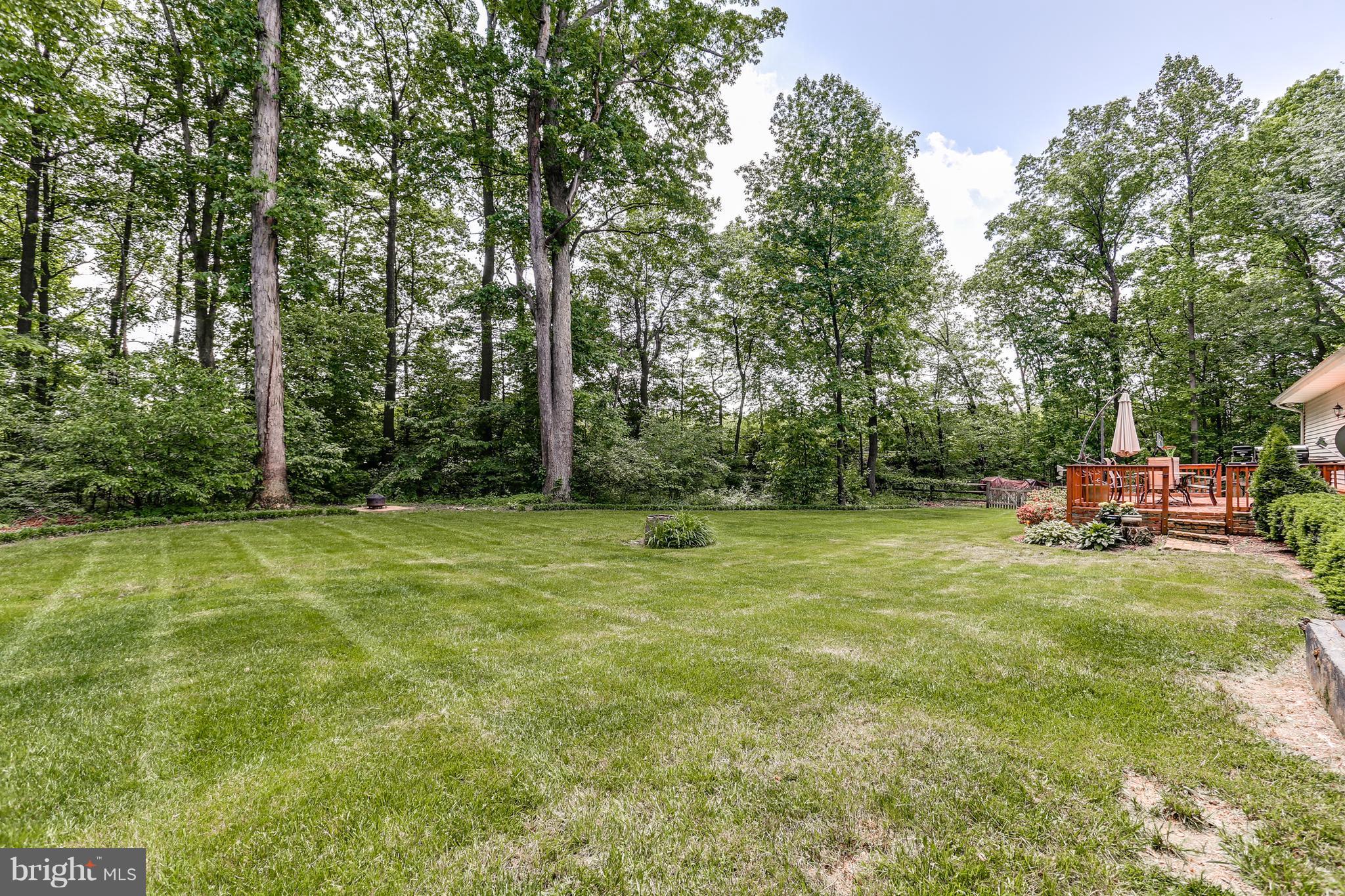 757 West Watersville Road Mount Airy, MD 21771 - Photo 25 of 27 Exterior (Rear)