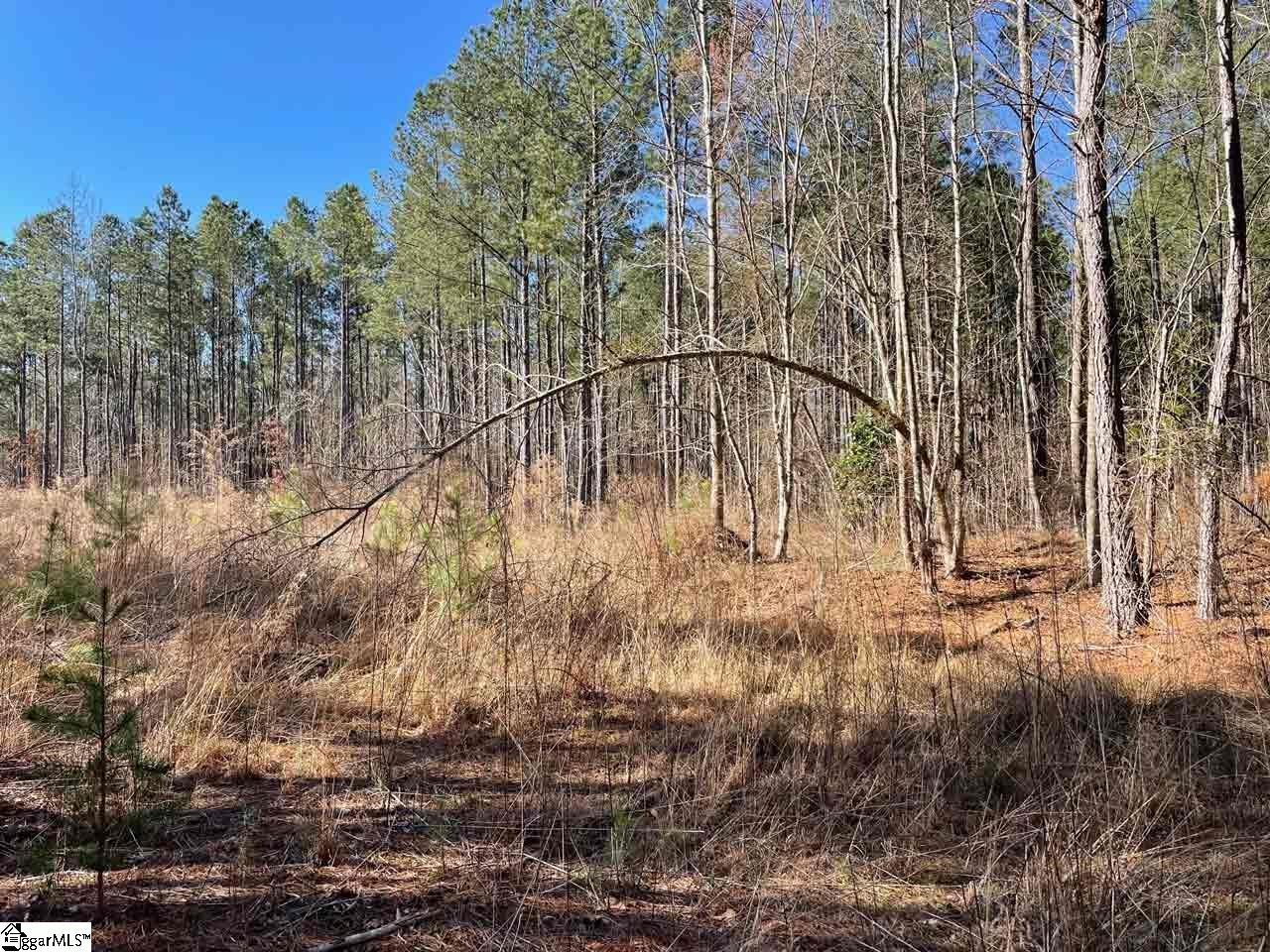 0 Jackson Grove Road Travelers Rest, SC 29690 - Photo 3 of 14