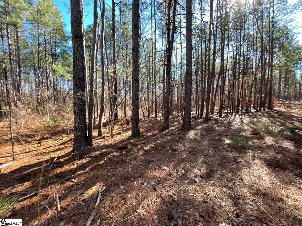 0 Jackson Grove Road Travelers Rest, SC 29690 - Photo 5 of 14