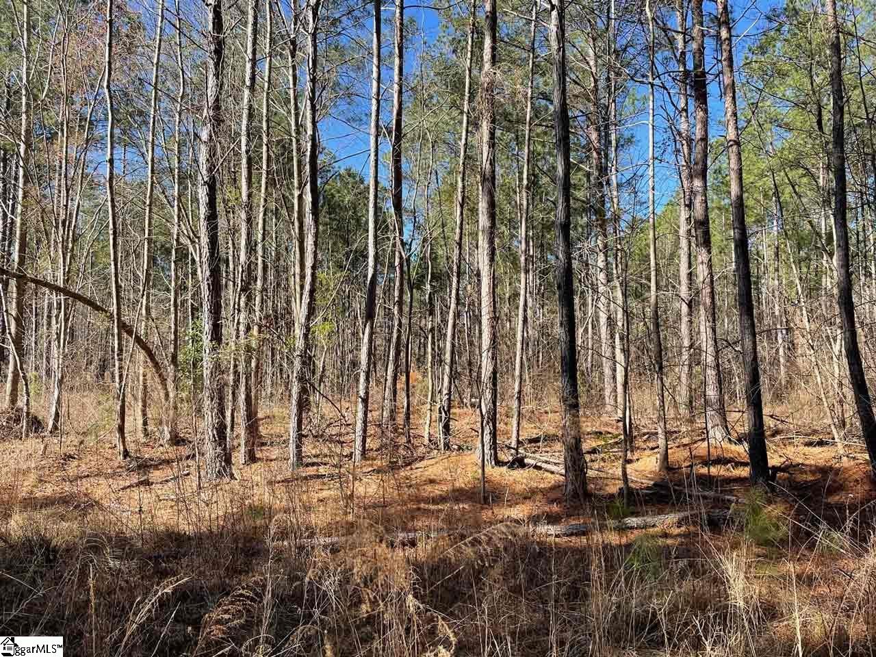 0 Jackson Grove Road Travelers Rest, SC 29690 - Photo 8 of 14