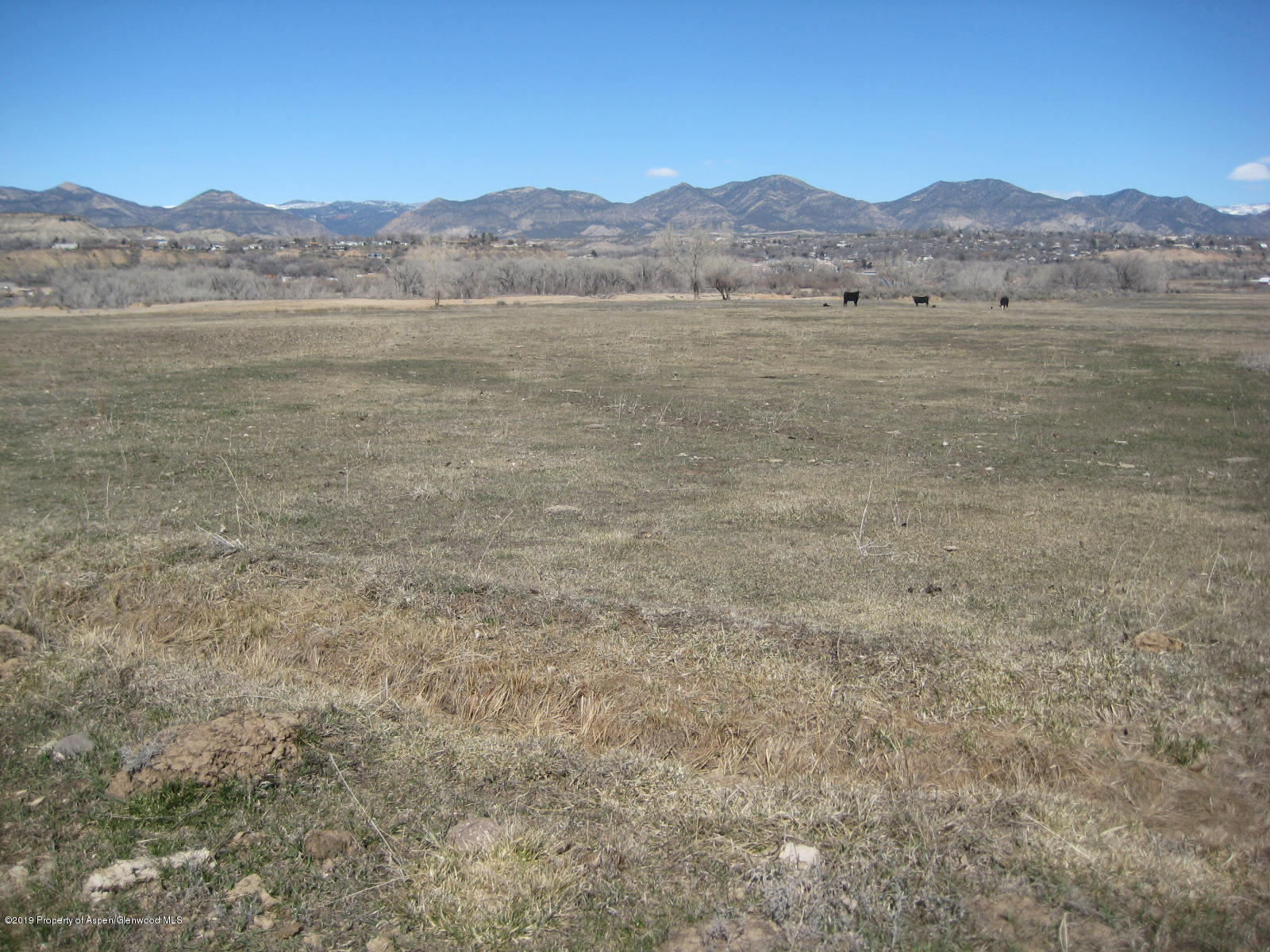 320 County Road 320 Rifle, CO 81650 - Photo 2 of 3 2019-03-19 03.57.21