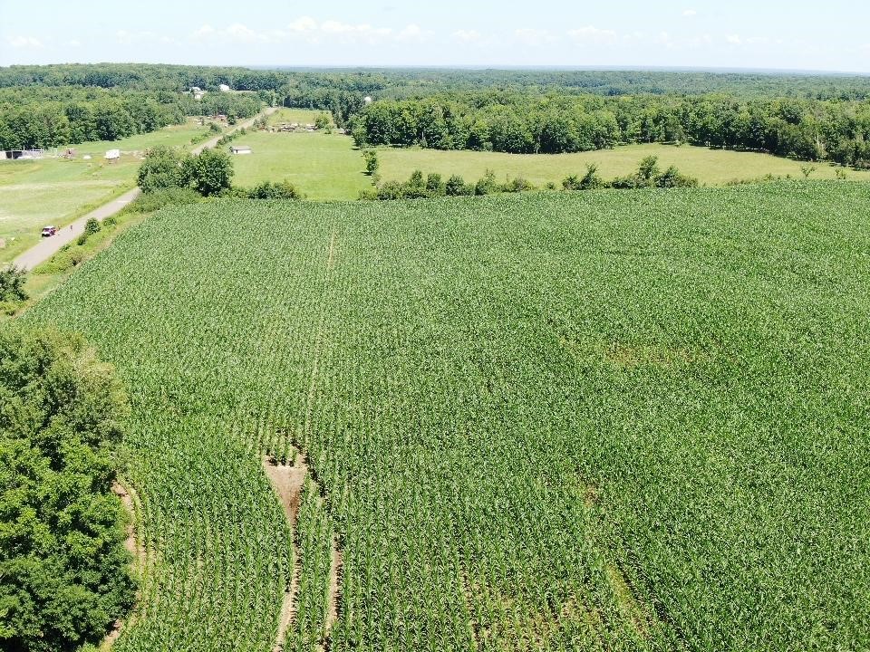 X 110th Street Frederic, WI 54837 - Photo 7 of 11