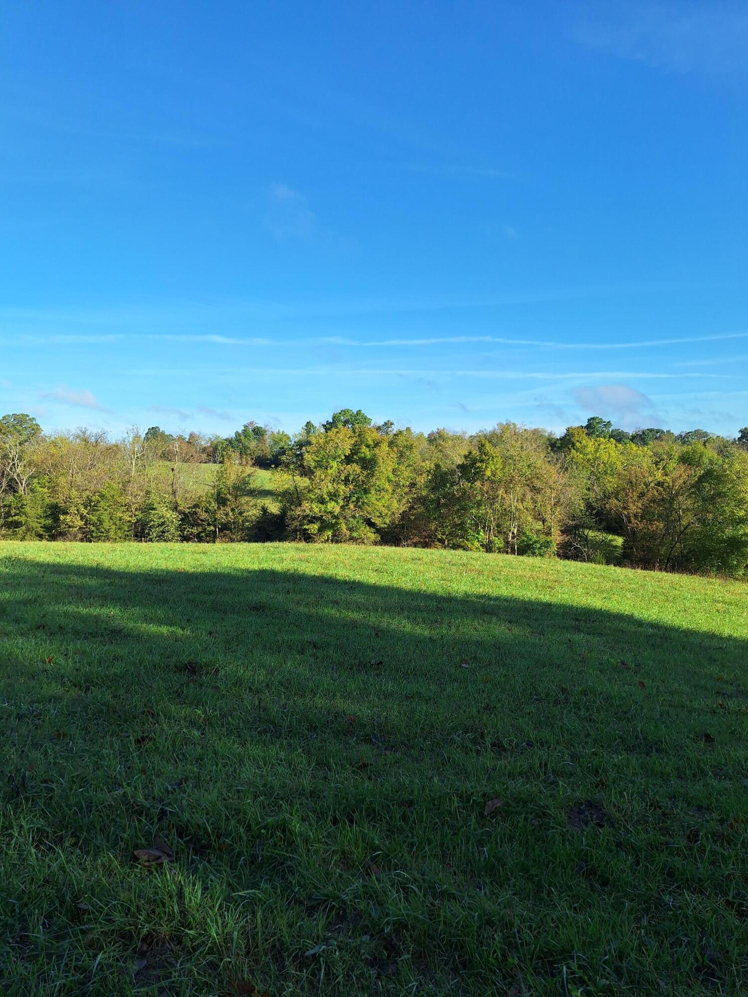 0 Casey Mill Road Berry, KY 41003 - Photo 6 of 28 Gallery Image 6