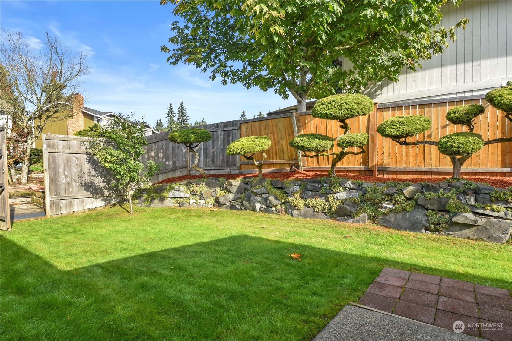 31108 11th Place Southwest Federal Way, WA 98023 - Photo 22 of 22 a view of back yard
