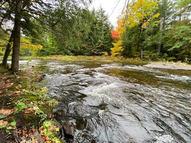 613 Joe Wood Road Altona, NY 12910 - Photo 23 of 23 Gallery Image 23