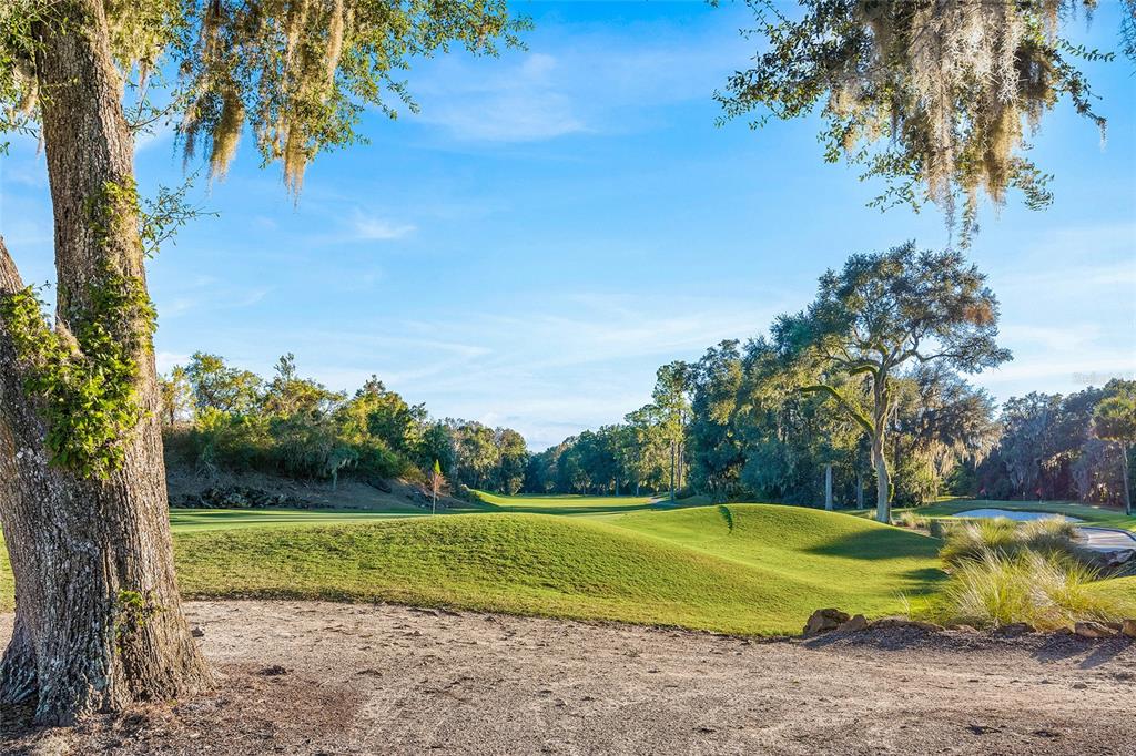 4855 Southwest 91st Way Gainesville, FL 32608 - Photo 55 of 60