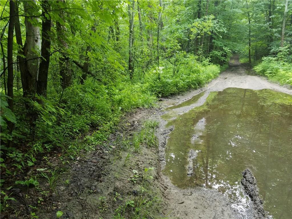 Tbd Ben Stone Road Hebron, ME 04238 - Photo 15 of 16 Photo