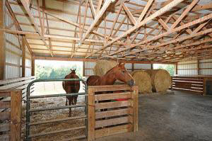 2133 Pinhook Road Bedford, IN 47421 - Photo 4 of 21