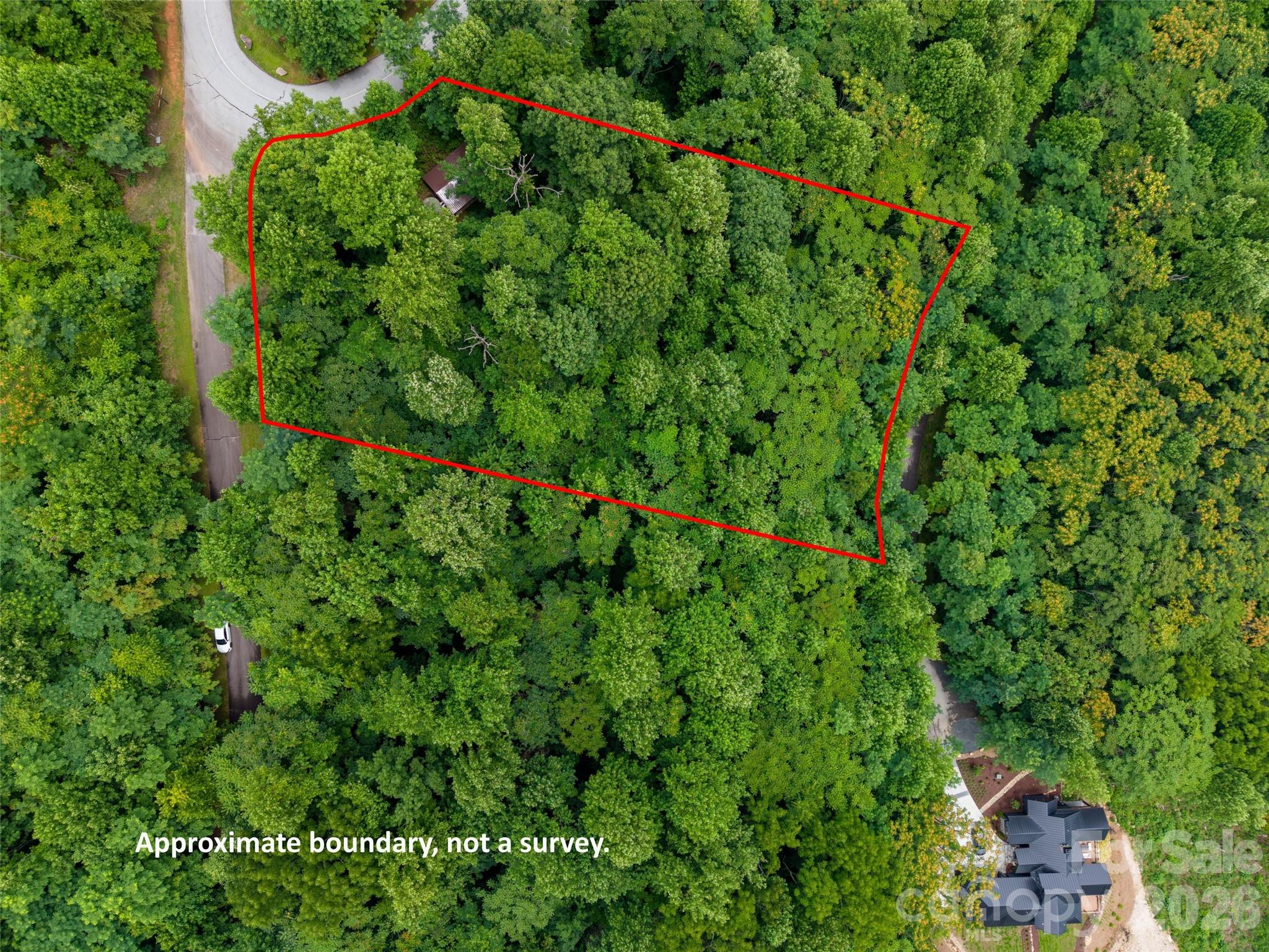 236 Nottingham Dr Mill Spring Mill Spring, NC 28756 - Photo 8 of 19