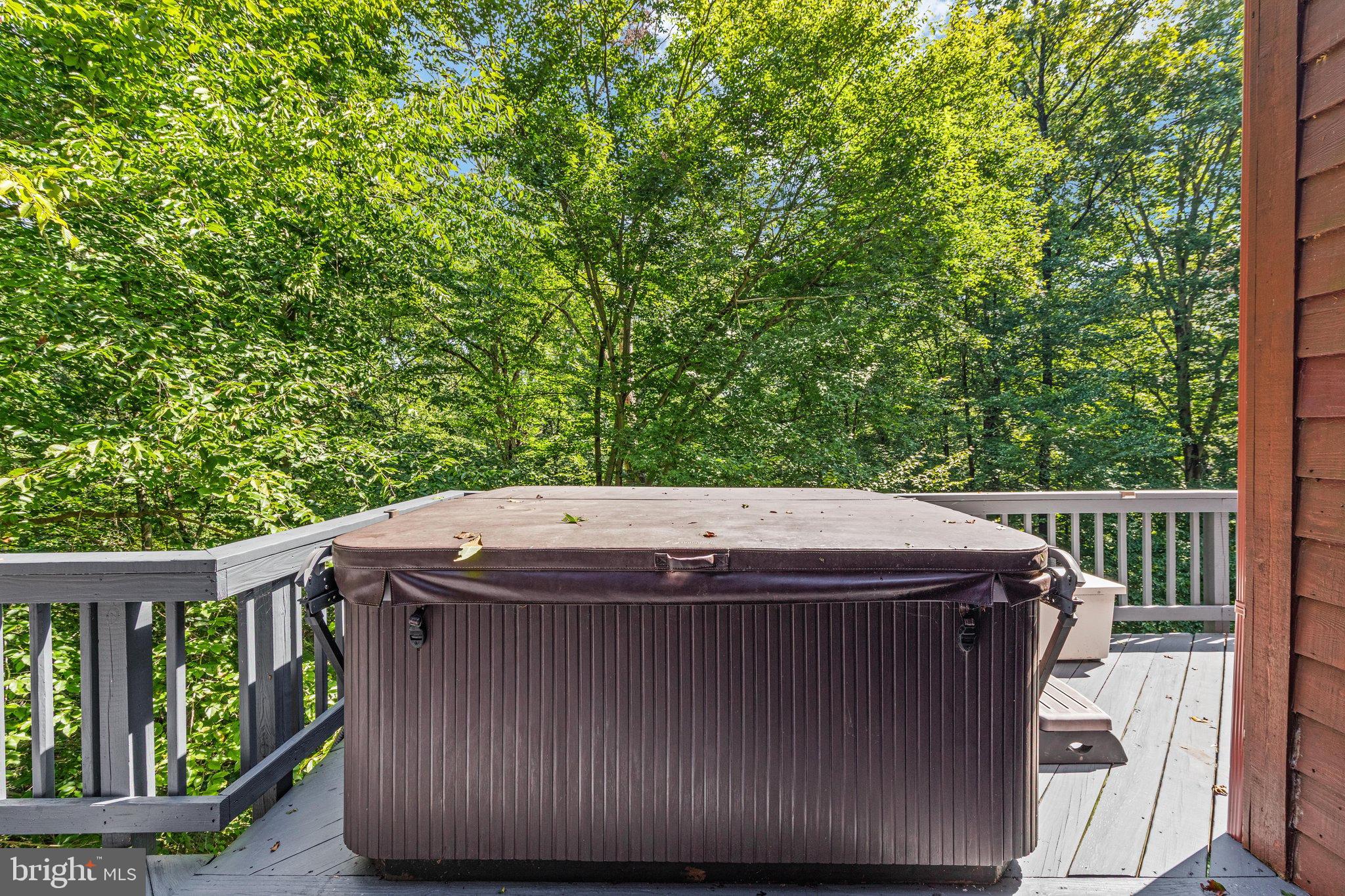 12525 Paradise Spring Road Clifton, VA 20124 - Photo 68 of 83 Hot Tub on Deck