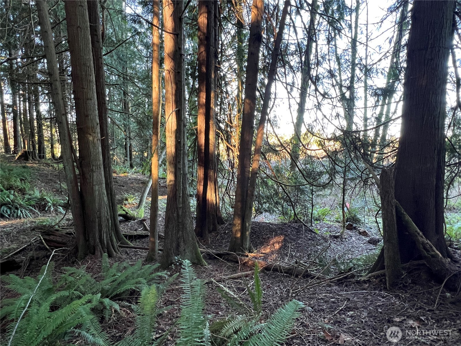 5662 Center Road Chimacum, WA 98325 - Photo 13 of 25 a view of outdoor space and garden