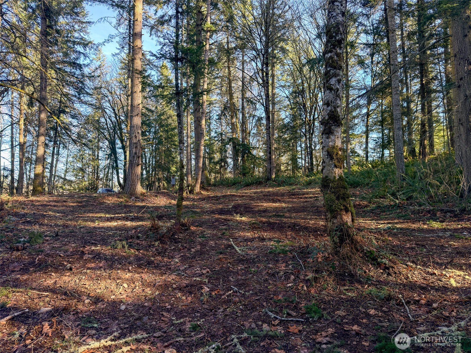 5662 Center Road Chimacum, WA 98325 - Photo 14 of 25 a view of outdoor space with trees