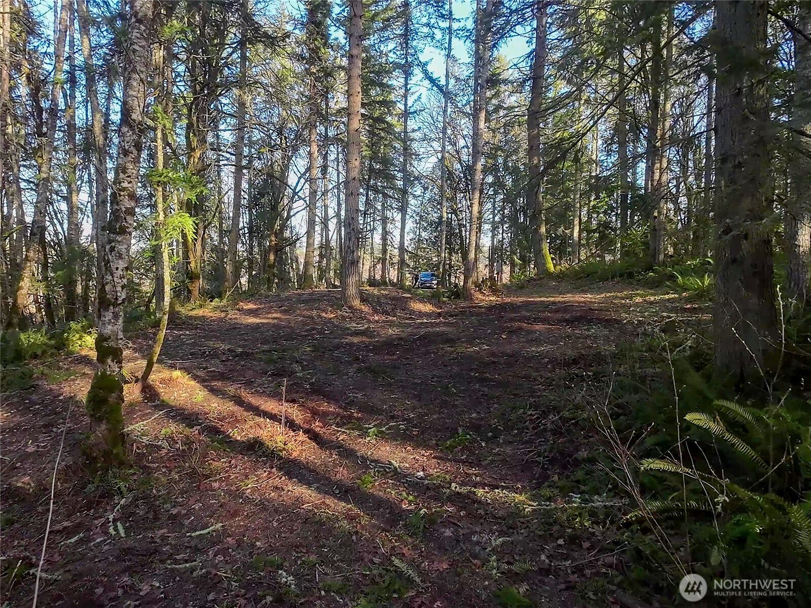 5662 Center Road Chimacum, WA 98325 - Photo 16 of 25 a view of a backyard of a house