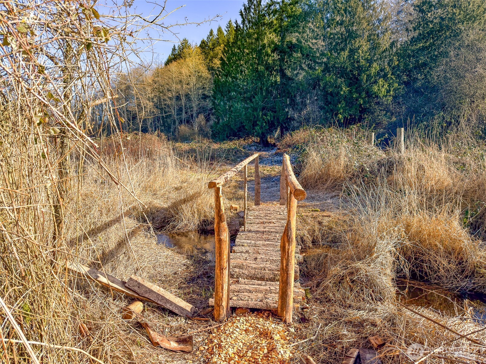 5662 Center Road Chimacum, WA 98325 - Photo 17 of 25 a view of a yard with plants and wooden fence