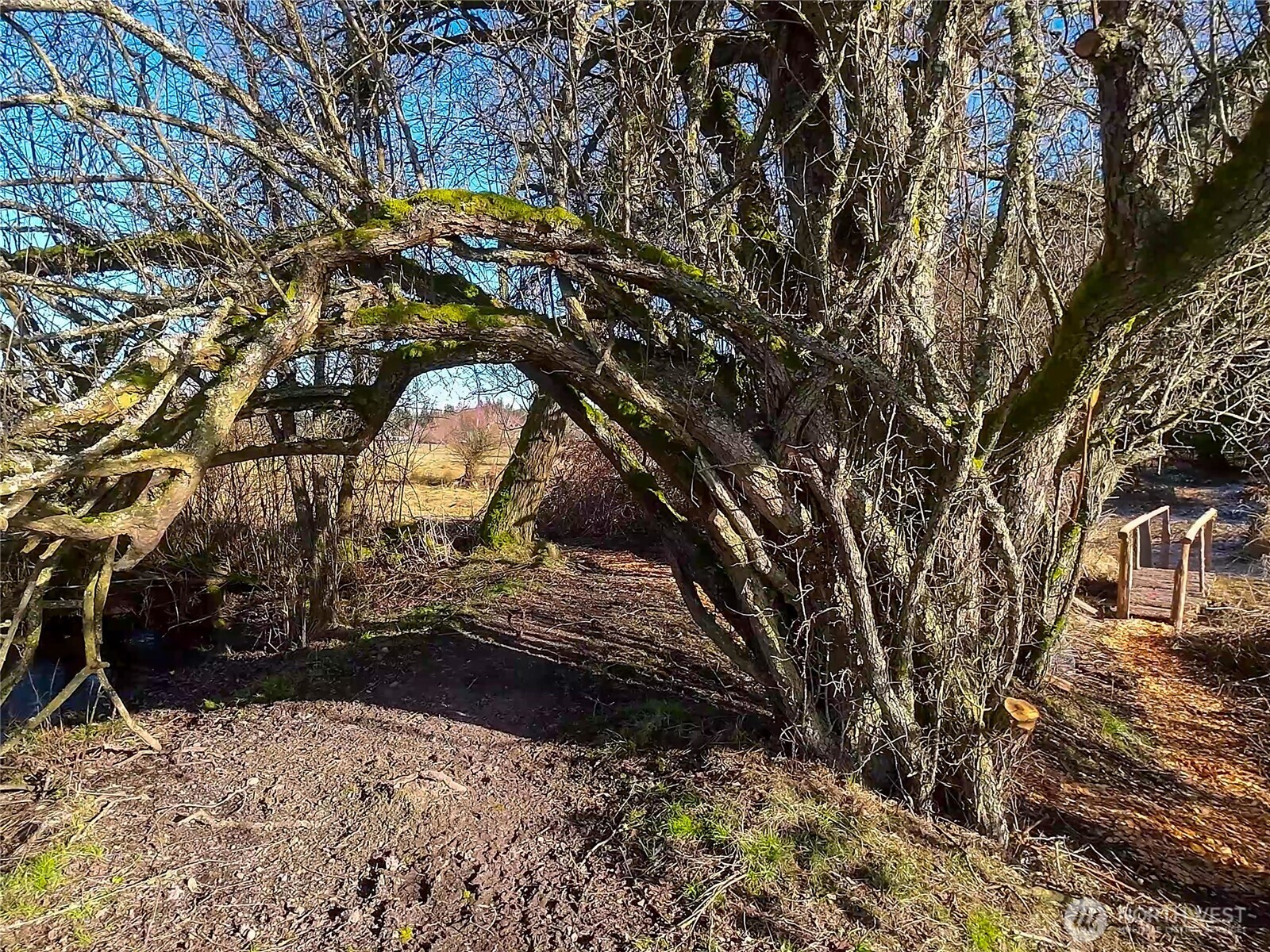 5662 Center Road Chimacum, WA 98325 - Photo 19 of 25 a view of a wooden house with a snow