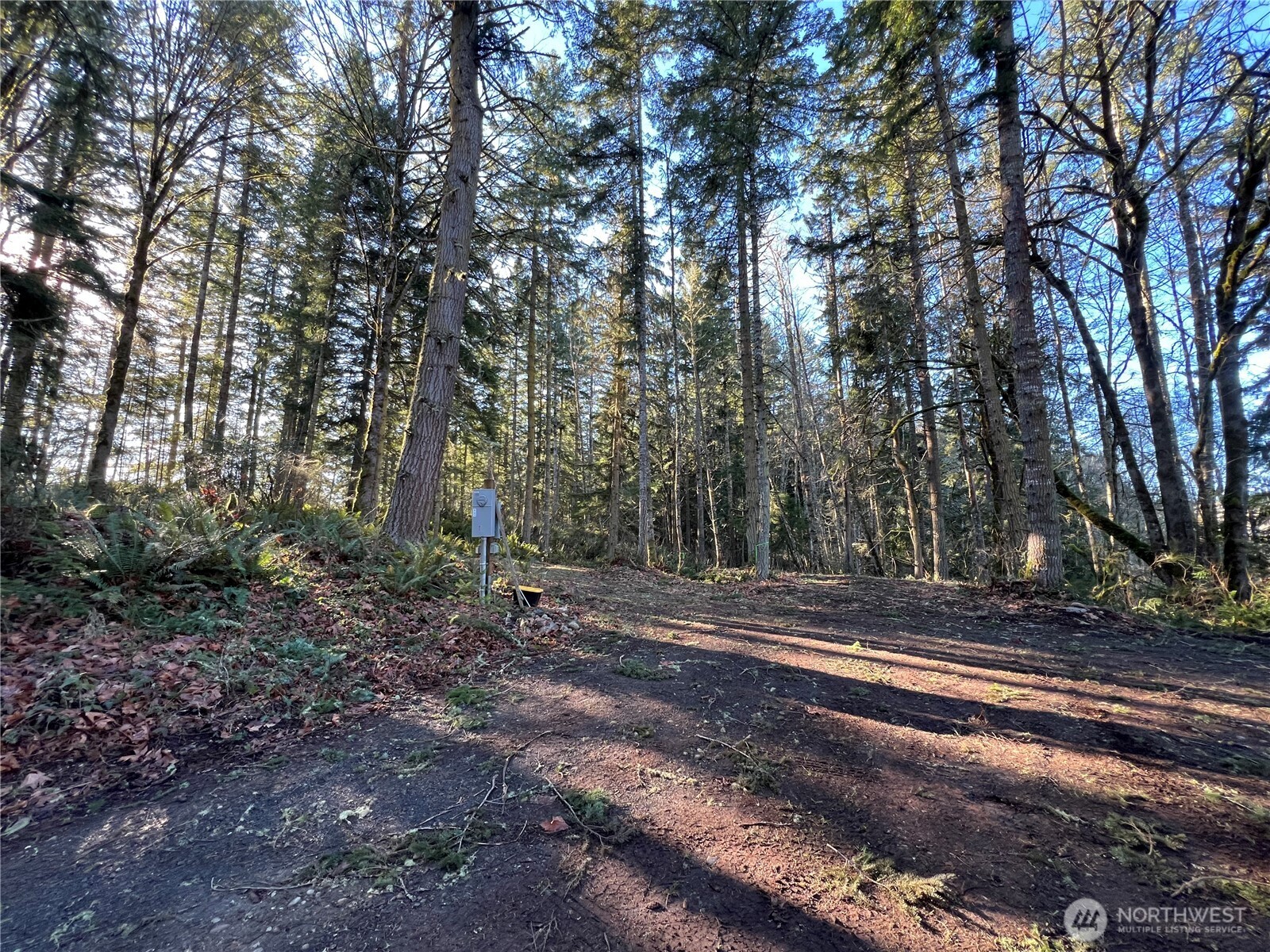 5662 Center Road Chimacum, WA 98325 - Photo 20 of 25 a view of a yard with plants and trees