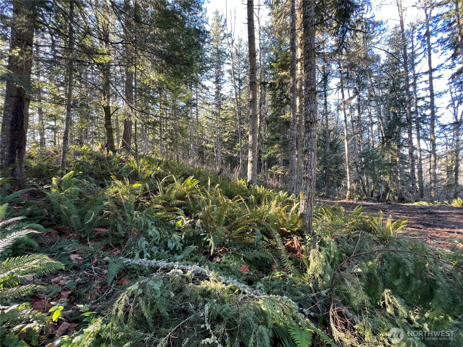 5662 Center Road Chimacum, WA 98325 - Photo 22 of 25 a view of a garden with plants and trees