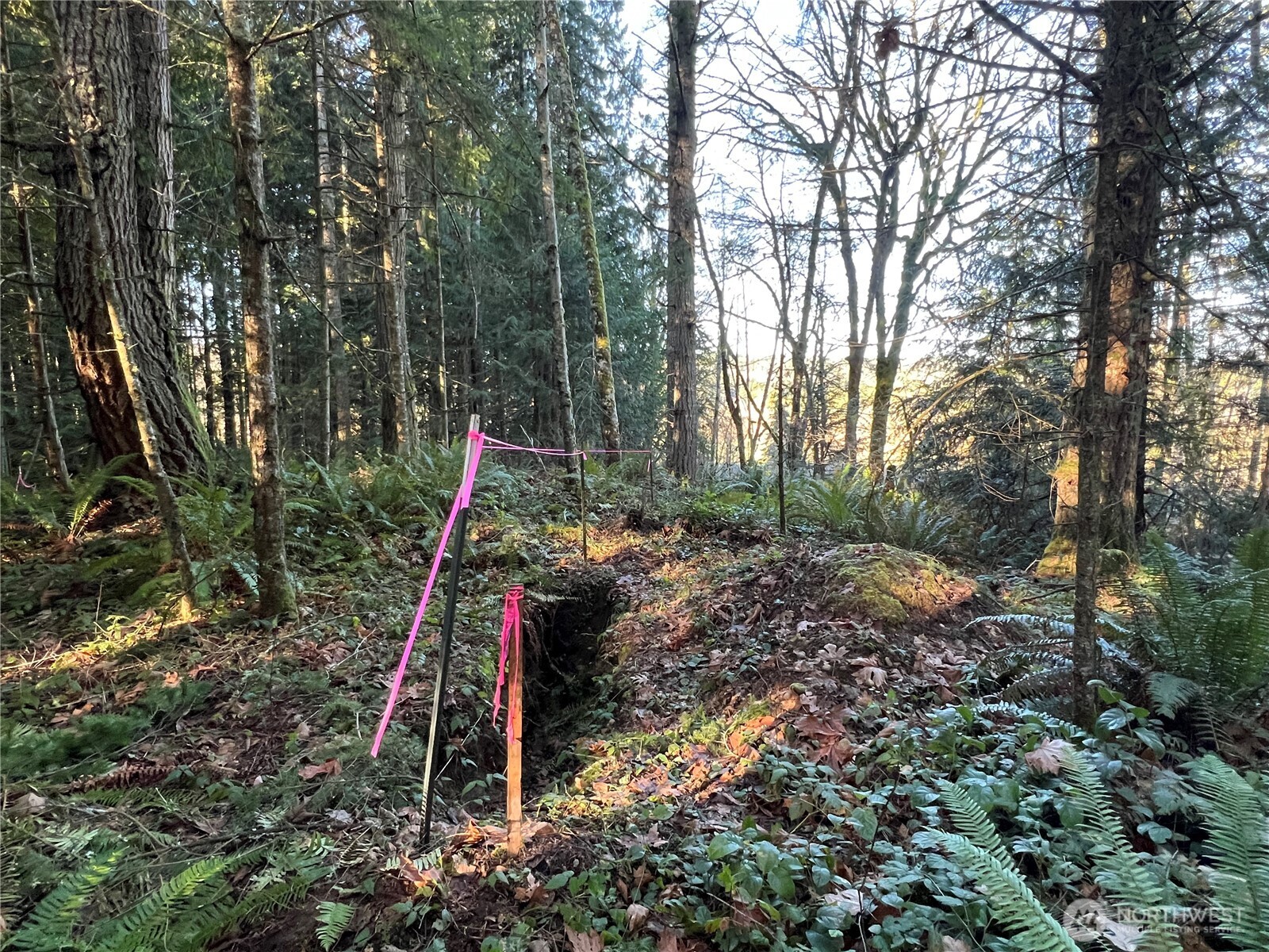 5662 Center Road Chimacum, WA 98325 - Photo 25 of 25 a garden view with a slide